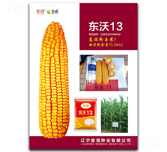 ����13-��������-�Ǻ���ҵ