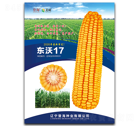 ����17-��������-�Ǻ���ҵ