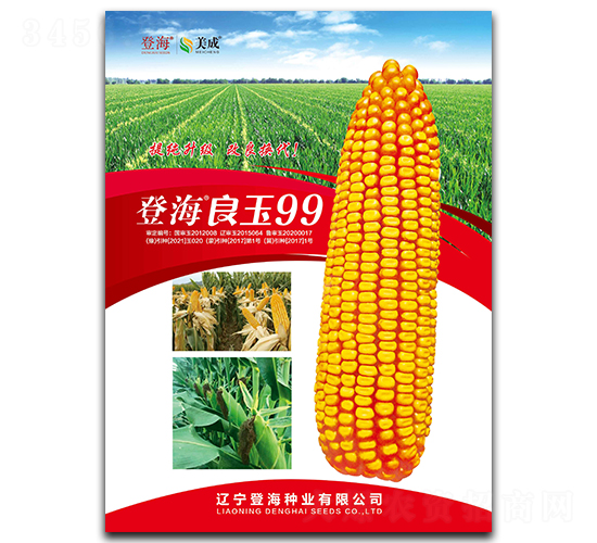 �Ǻ�����99-��������-�Ǻ���ҵ