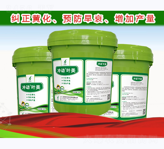 �嶯Ҷ��-�º̷�