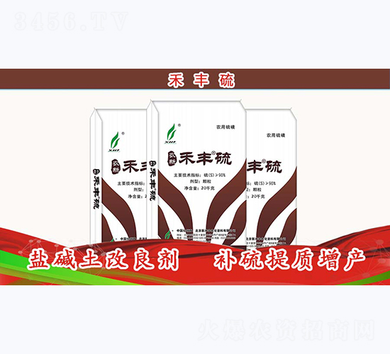 �μ���������-�̷���-�º̷�
