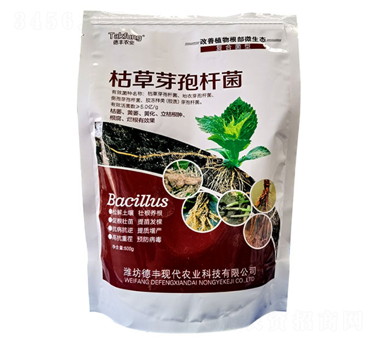 500g�ݲ�ѿ�߸˾�-�Ƕ�����