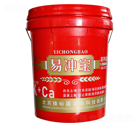 �׳屦-�Ƕ�����