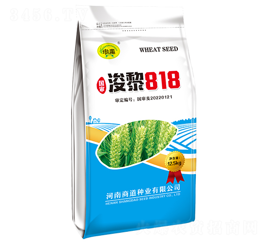 ����818-С������-�̵���ҵ