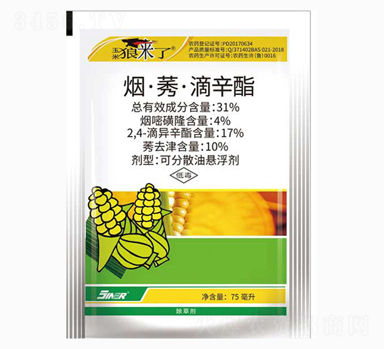 31%�̡�ݬ����������-����������-���ũ��