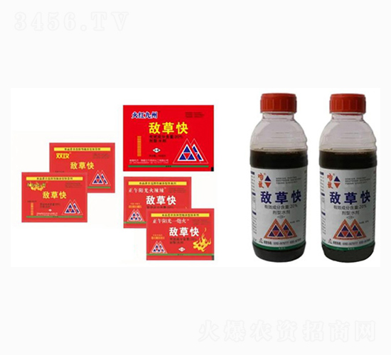 20%�вݿ�ˮ��-������-��������