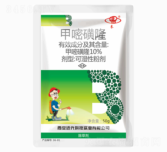 10%���׻�¡-�����Ƽ�