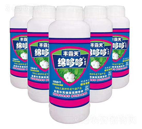 �޶߶�Ҷ���-�����-������