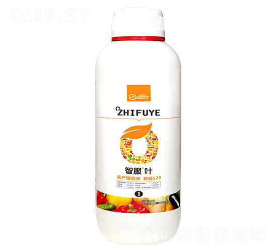 1L�Ƿ�Ҷ-������