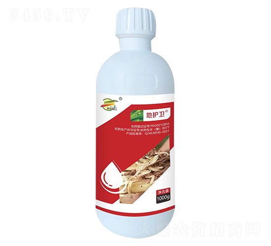 8%��氷-�ػ���-����