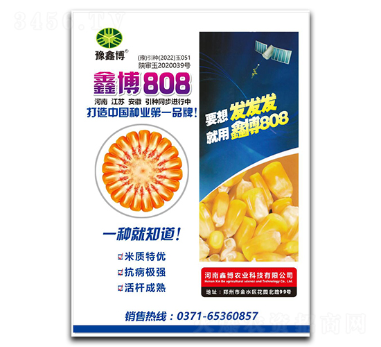 �β�808-��������-ԥ�β�