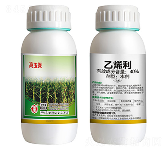 20g��ϩ��-����-ȫ��