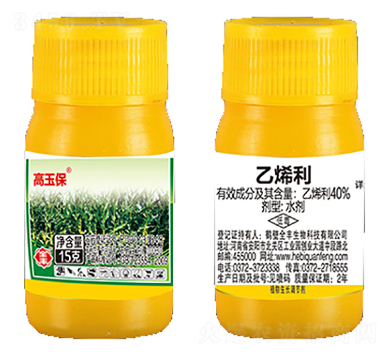 15g��ϩ��-����-ȫ��