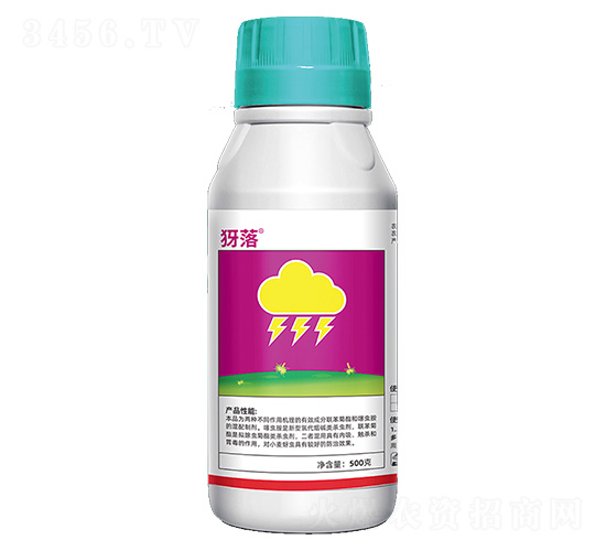 10%��������氷������-����-�۰�