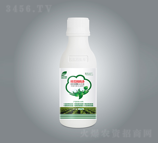 �޻����Ҷ�-Ӣ¶���շ�