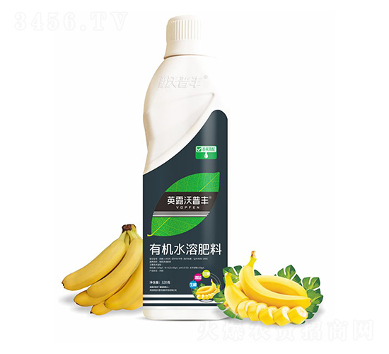 �㽶�����л�ˮ�ܷ���-Ӣ¶���շ�
