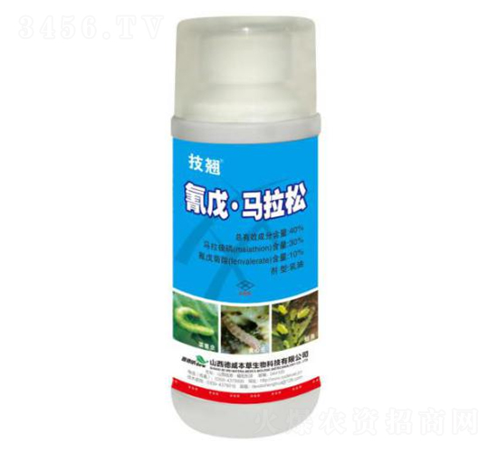 40%���졤����������-����-������