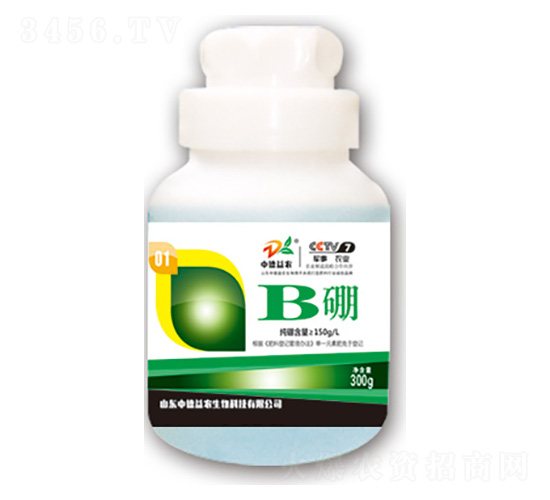 B��-�е���ũ