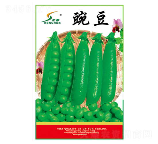 ���㶹����-�Ừ��ҵ
