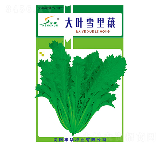 ��Ҷѩ��ޮ-ѩ��ޮ����-�Ừ��ҵ