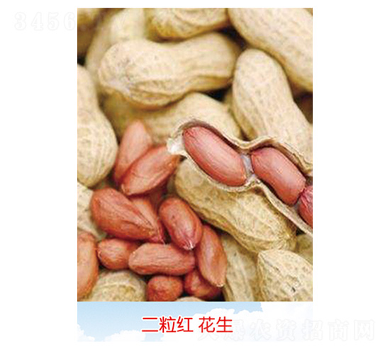 �����컨��-��������-�Ừ��ҵ