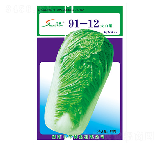 91-12��ײ�-�ײ�����-�Ừ��ҵ