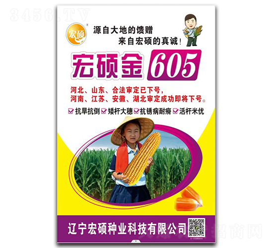 ��˶��605-��������-�п�����