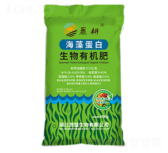 ���嵰�������л���-ïʢ����