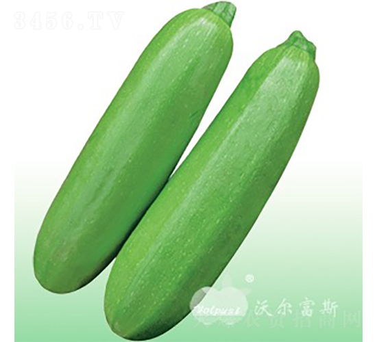 ��������208F1���߲����̴�������«��-����«����-�ֶ���˹