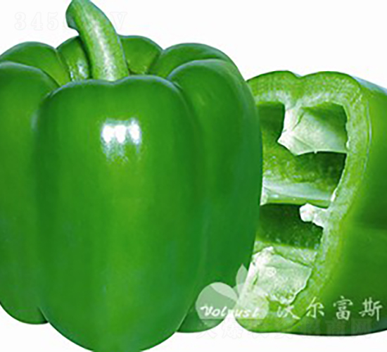 ��ӯһ��F1�����ﱣ���ظ߲�������𽷣�-������-�ֶ���˹