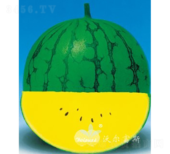 �ƽ�F1������������Ʒ���ϣ�-��������-�ֶ���˹