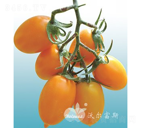 ������F1����ɫ�з��ѣ�-��������-�ֶ���˹