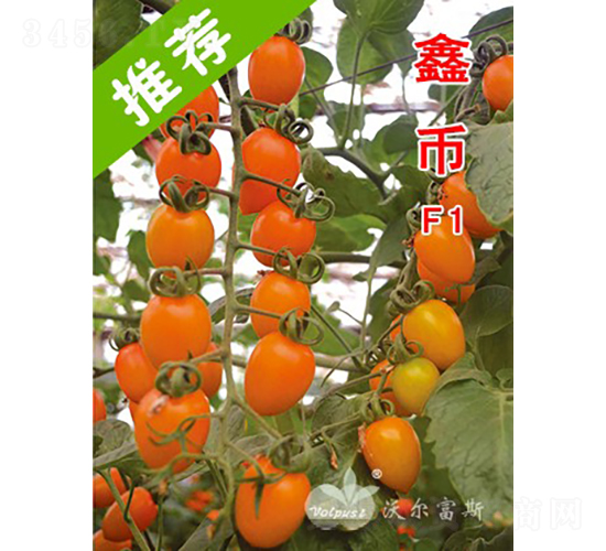 �α�F1��̨��������ɫ�ƹ�С���ѣ�-��������-�ֶ���˹