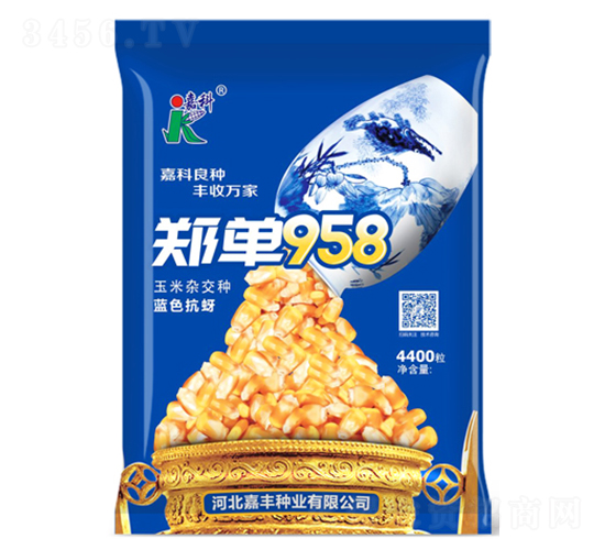֣��958-��������-�ο�