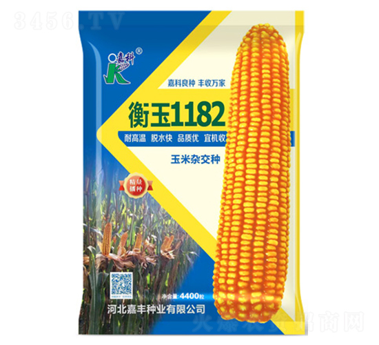 ����1182��������-�ο�