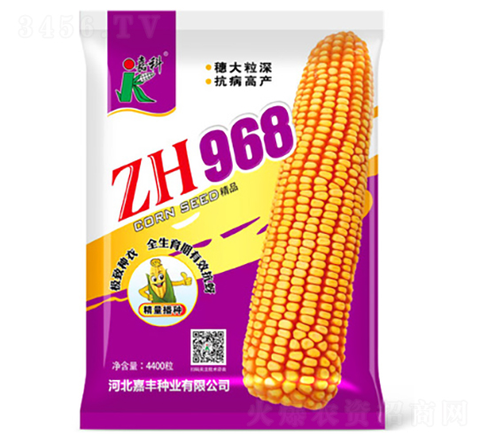 ZH968-��������-�ο�