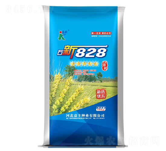 ʯ��828-С������-�ο�
