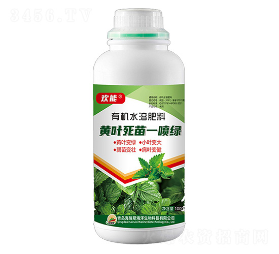 1000g��Ҷ����һ����-����-����˹