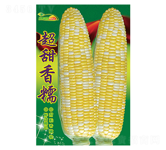 ��������-������Ŵ-����