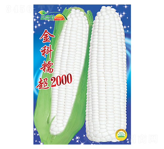 ��������-���Ŵ��2000-����