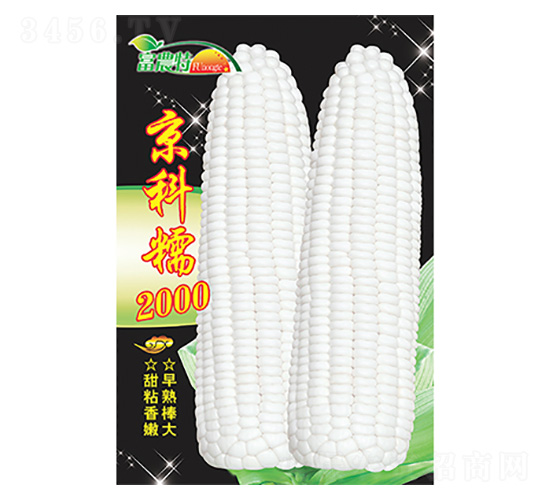 ��������-����Ŵ2000-����