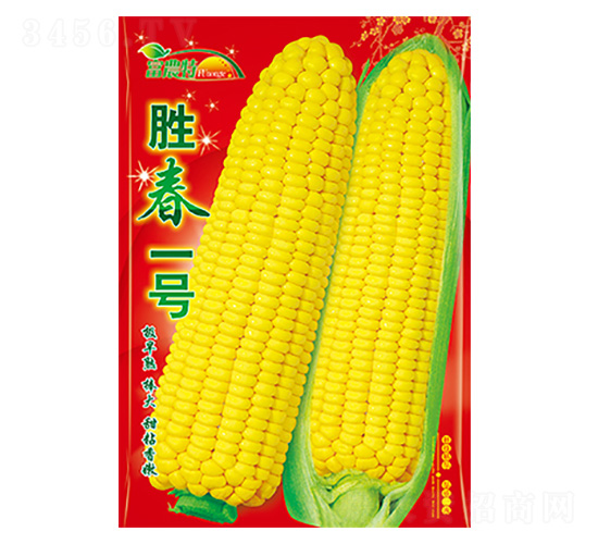 ��������-ʤ��һ��-����