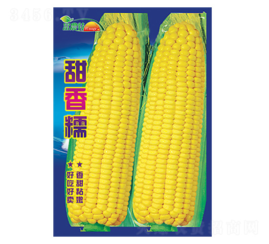 ��������-����Ŵ-����