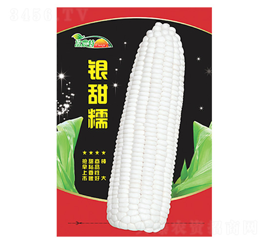 ��������-����Ŵ-����