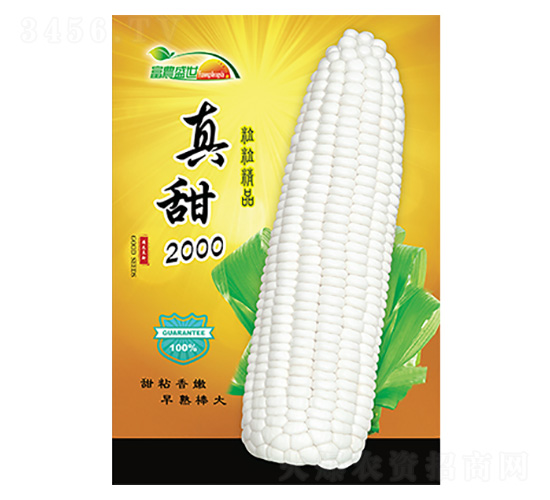 ��������-����2000-����