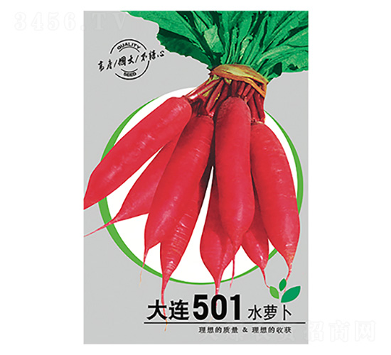 ˮ�ܲ�-����501-����