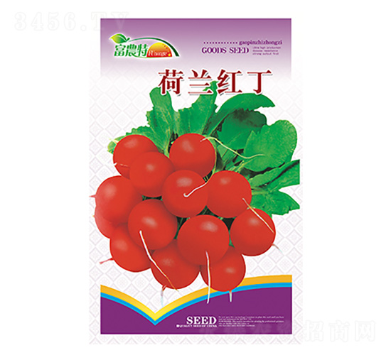 �ܲ�����-�����춡-����