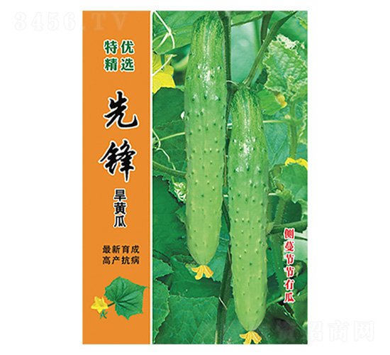 �ȷ溵�ƹ�-����