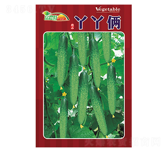 �ƹ�����-ѾѾ��-����