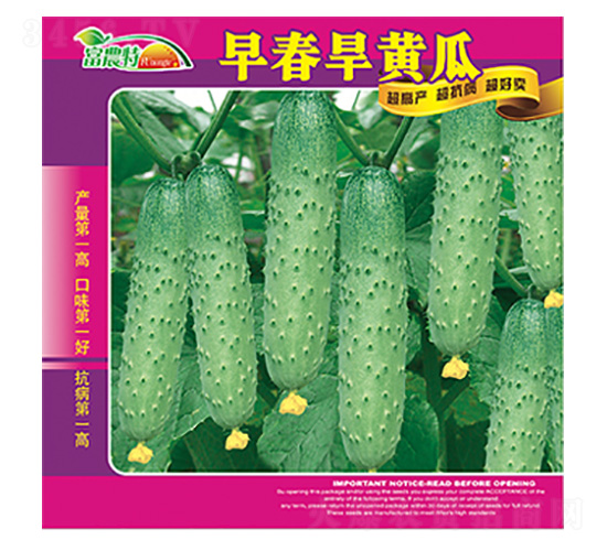 �紺���ƹ�-����